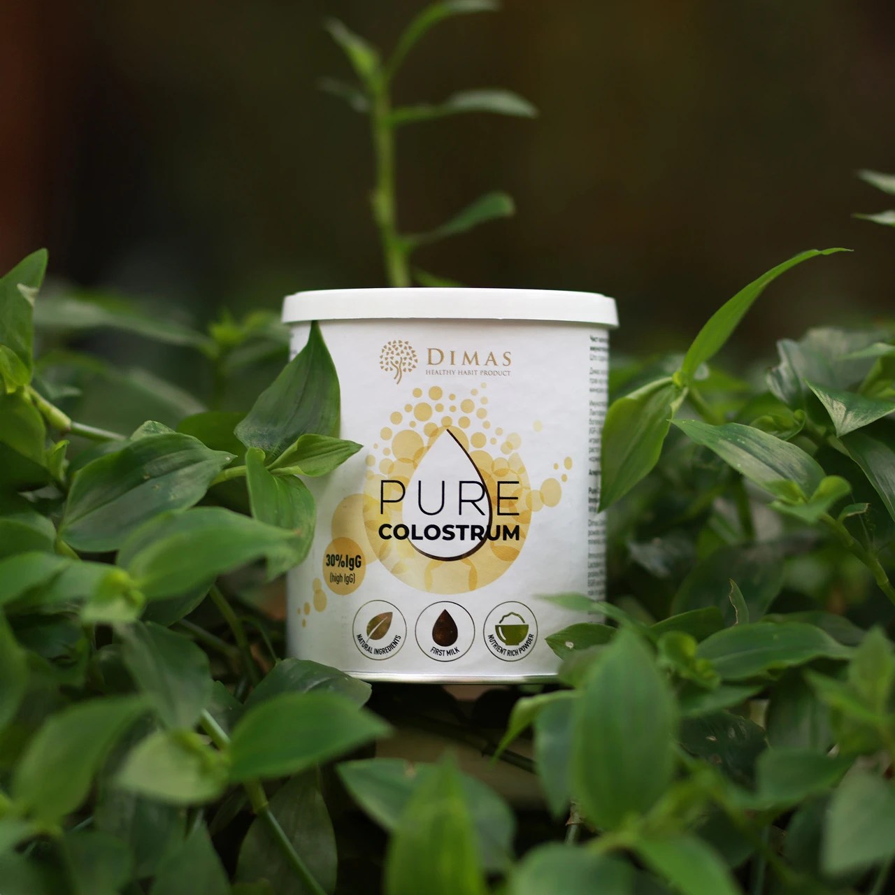 Kolostrum jaca imunitet - Colostrum strengthens immunity