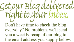 Blog Signup