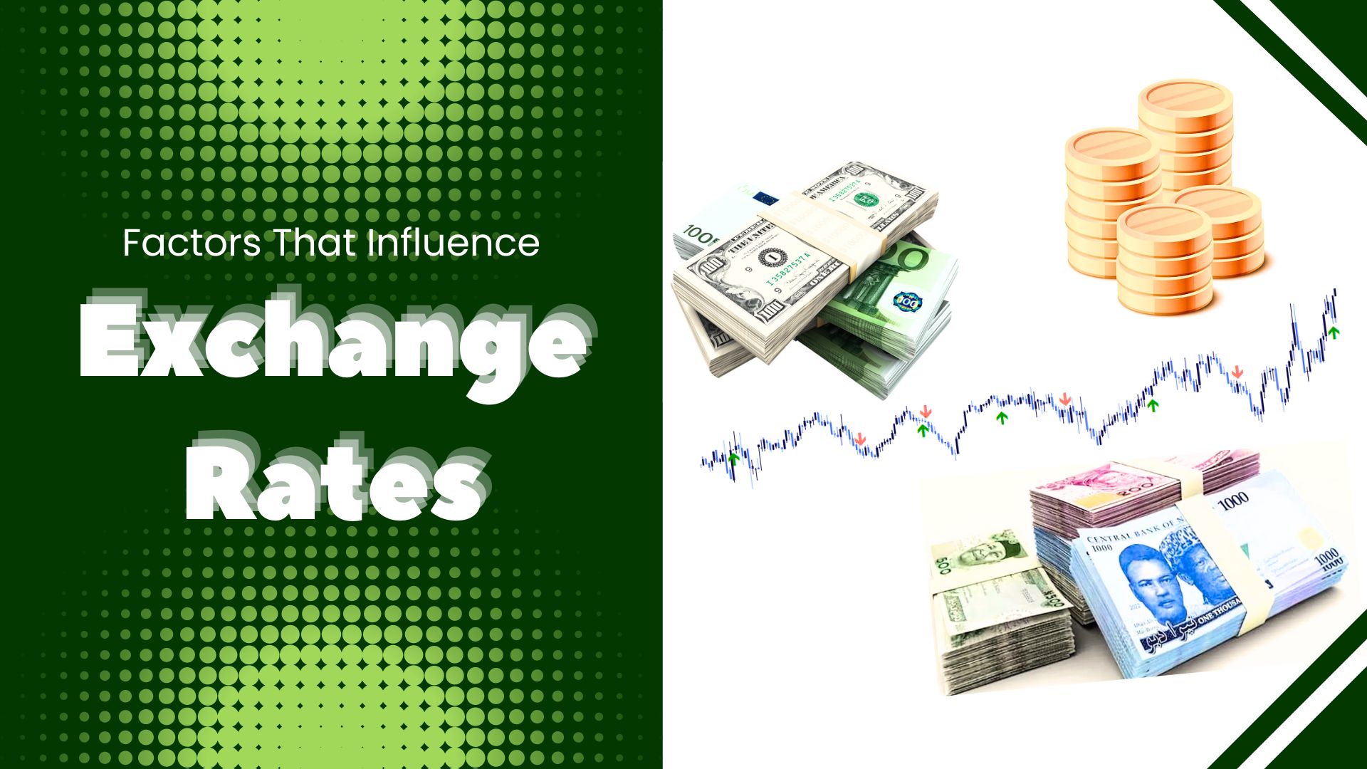 Exchange Rates