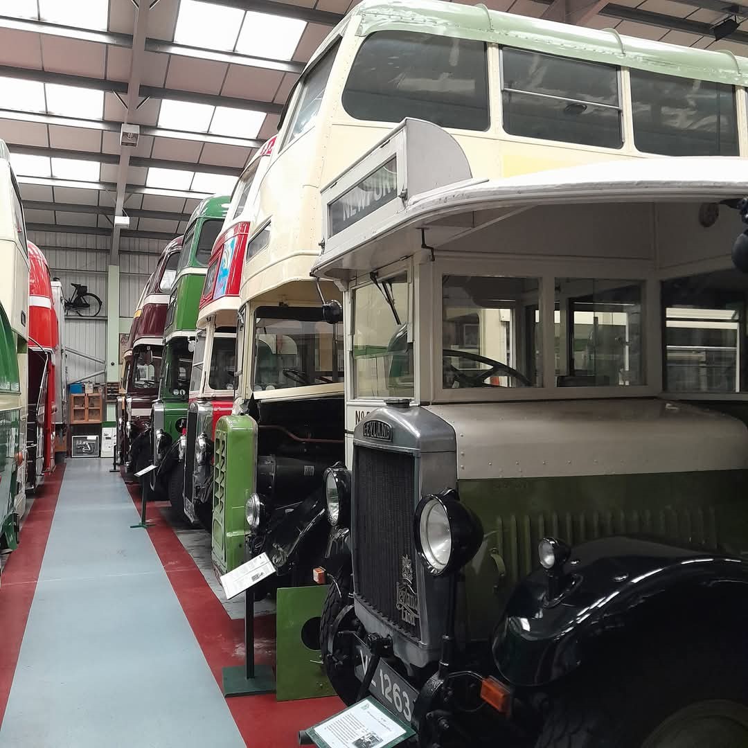 Bus