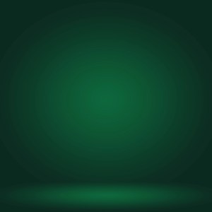 seo report on website