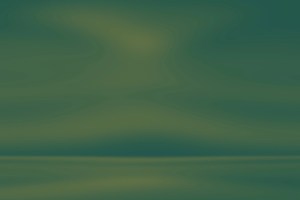 website seo report