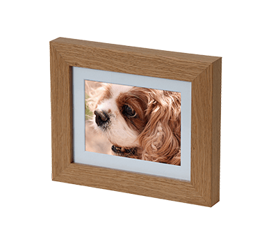 Pet Photo Memorials