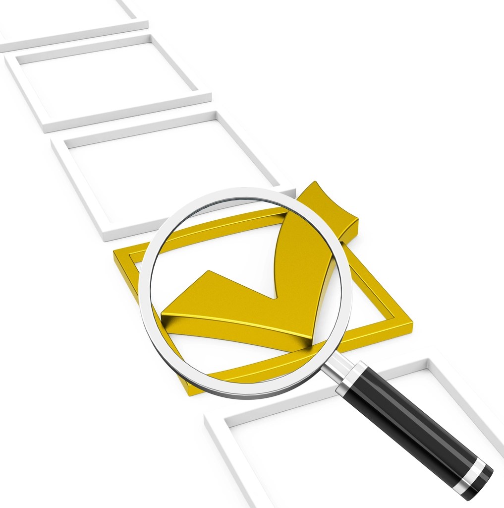 seo analyse check