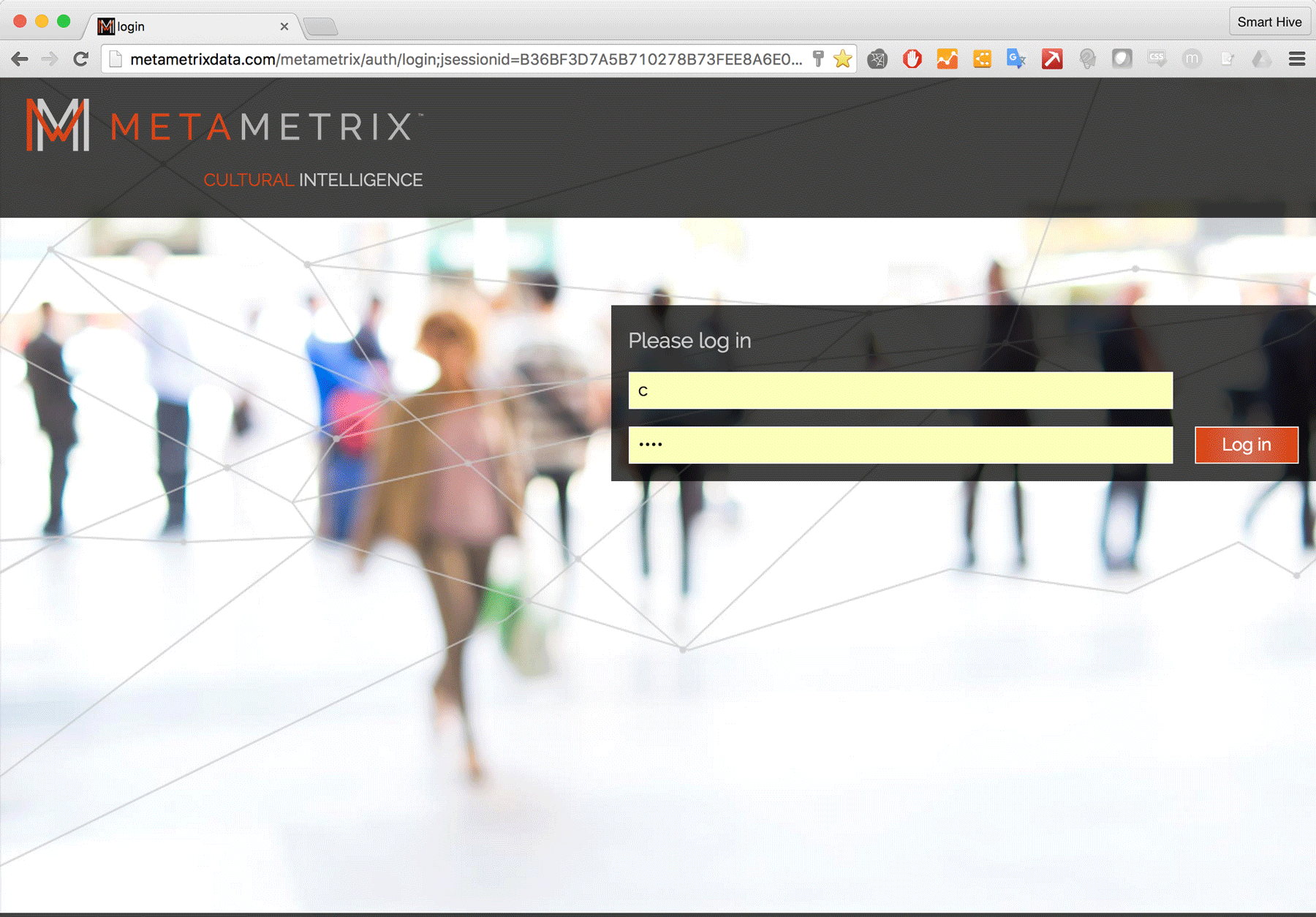Metametrix UX UI