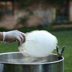 Spun Cotton Candy