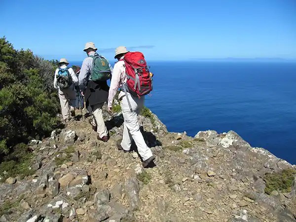 Three people with backpacks walking along the Tasman Peninsular.