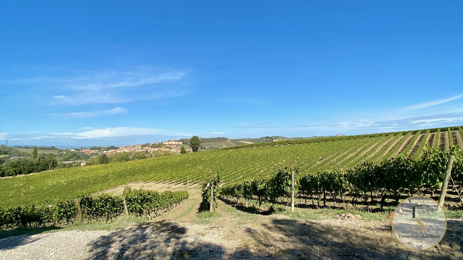 Tenuta Le Ottantamila