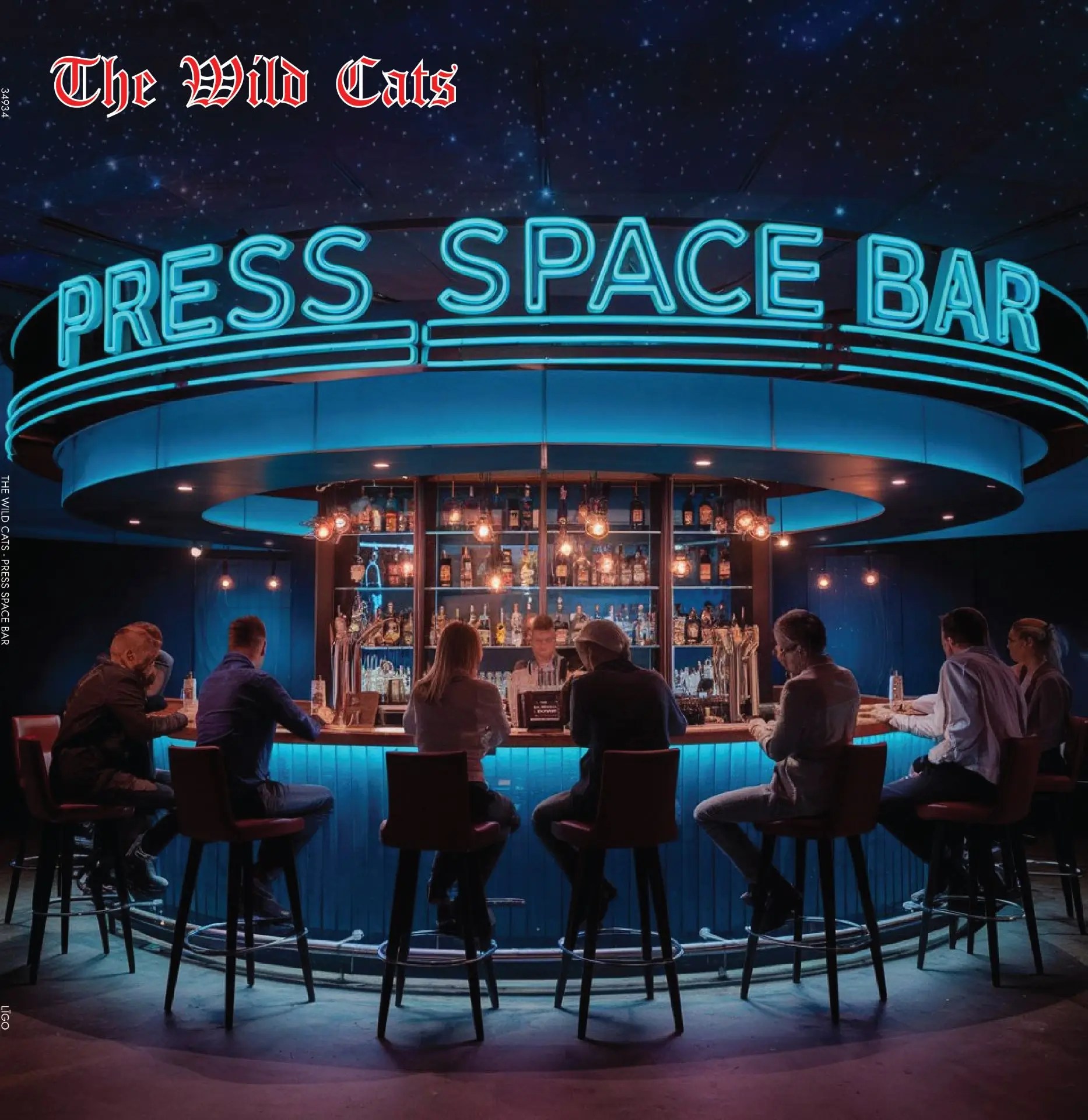 The Wild Cats - Press Space Bar 2025 LP
