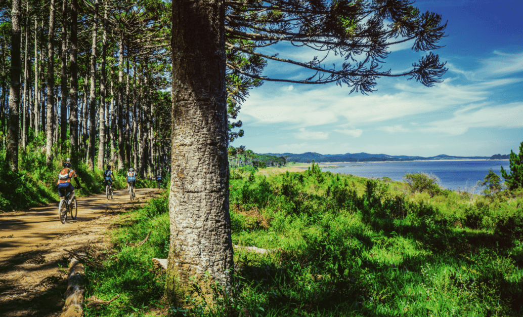 Cyclists riding slowly along a lakeside
