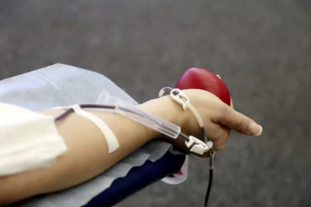 Dia Mundial do Dador de Sangue