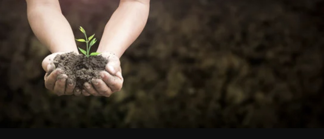 Dia Mundial do Combate à Seca e à Desertificação