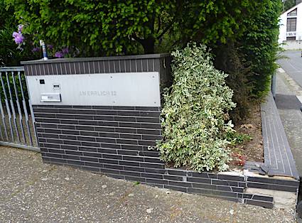 Blatter Zaun 300x100cm Grun Sichtschutz Windschutz Balkon Verkleidung Neu Haus