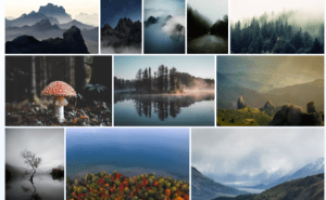 How To Create Functional Image Gallery In HTML CSS & JavaScript ...