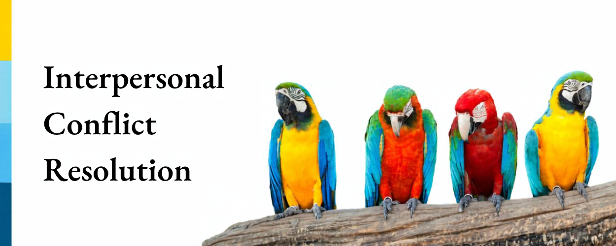 "Interpersonal Conflict Resolution" written beside three parrots sitting n a piece of wood.