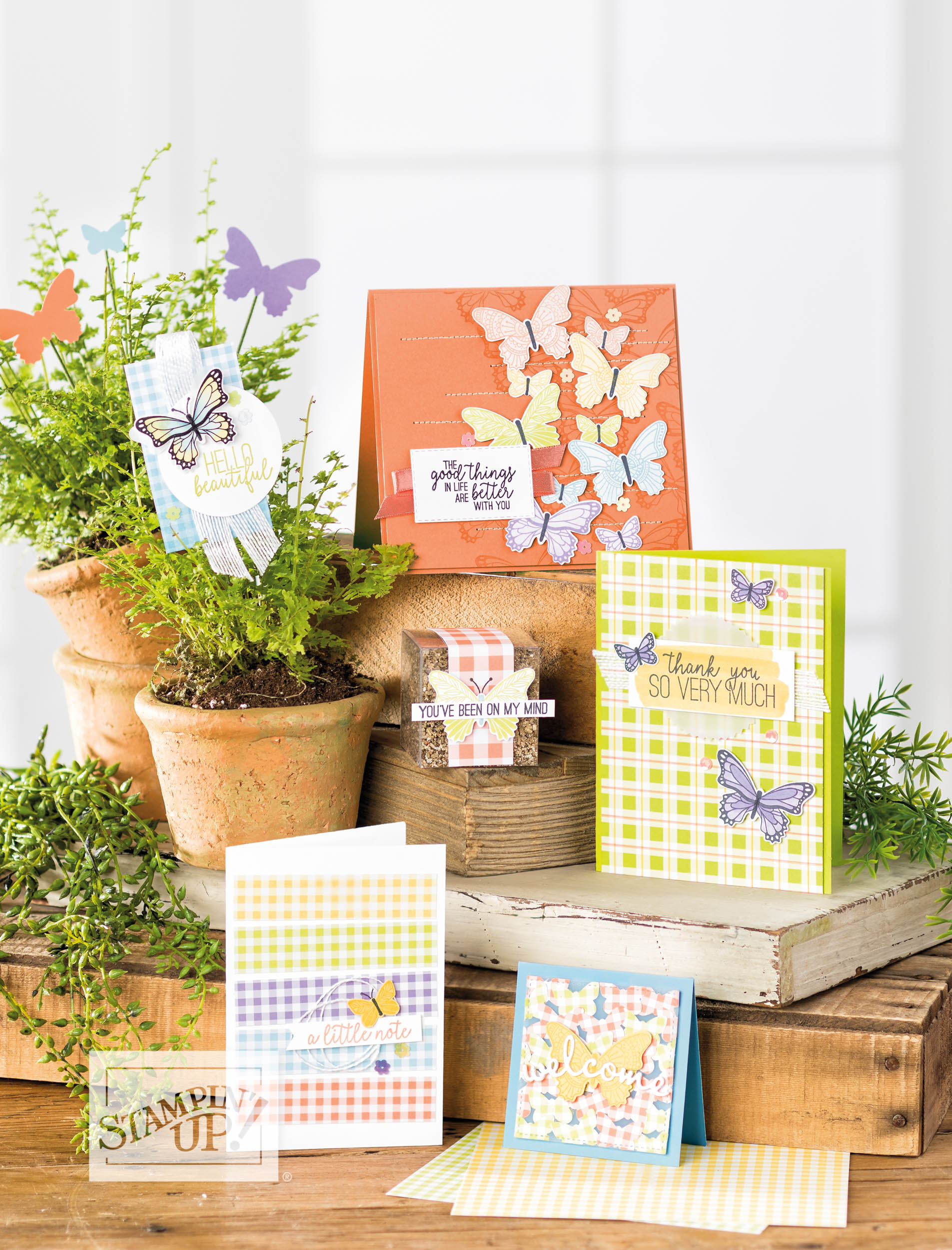 Beautiful Butterflies Card Class Saturday 19th January