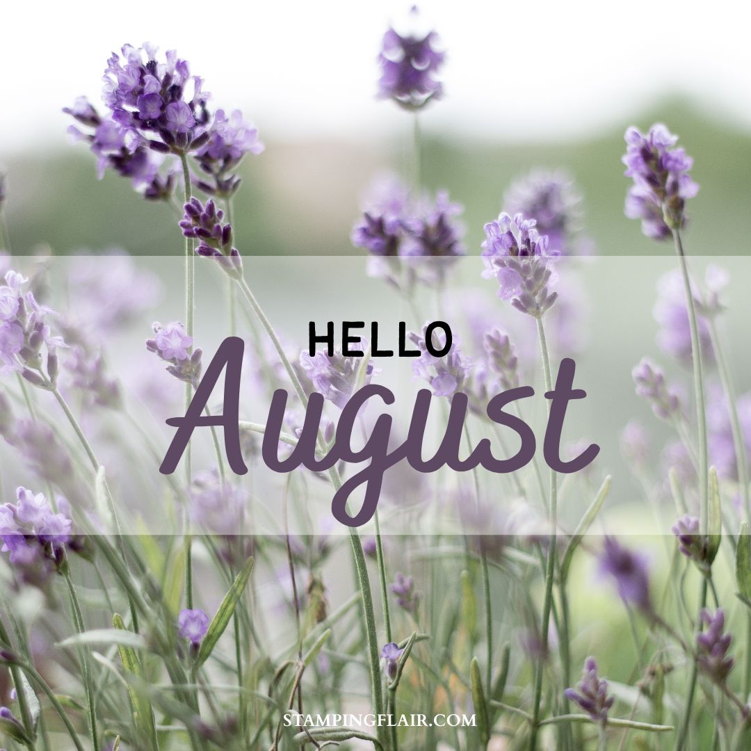 Hello August 2025