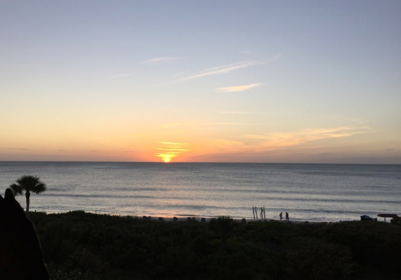 View from the reception
