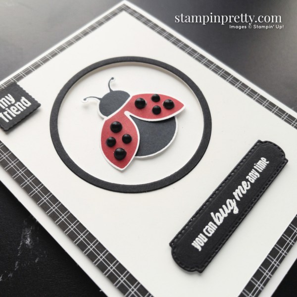 Create this friend card using the Hello Ladybug Bundle and the All Together Designer Series Paper from Stampin' Up! Card by Mary Fish, Stampin' Pretty