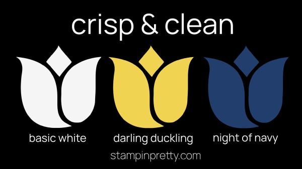 My Project Colors Pretty - Crisp & Clean - Basic White, Darling Duckling, Night of Navy