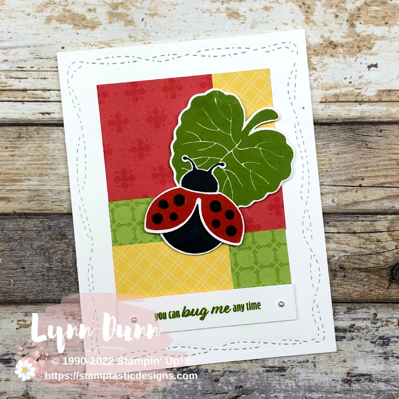 Hello Ladybug Card Ideas - Lynn Dunn - Stamptastic Designs LLC