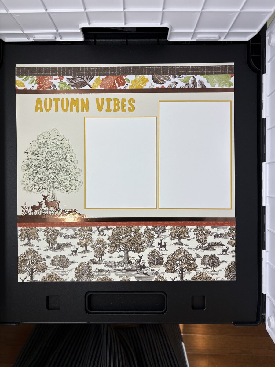 Autumn Vibes