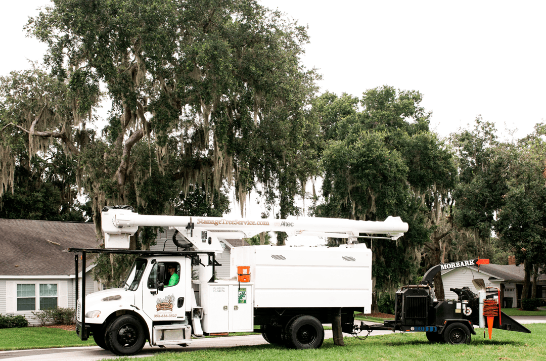 Charles st, baltimore, md 21201. Local Certified Arborists For Your Tree Care Needs Stanage Tree Service