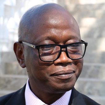 The political chameleon: A pathology of democratic transitions