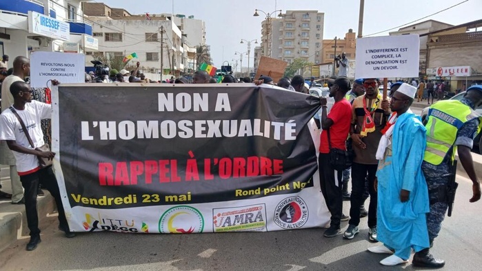Senegal criminalises commission and promotion of homosexuality, bisexuality, trans-sexuality, or bestiality 