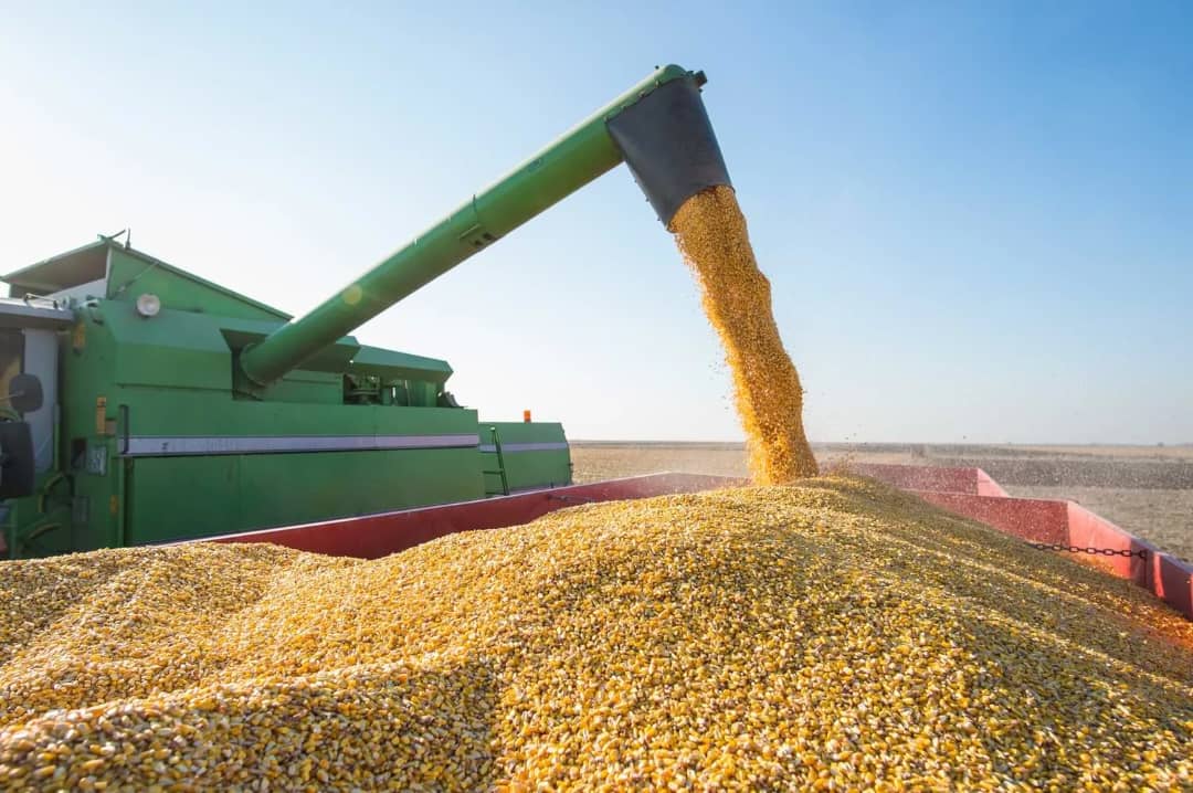 NFSPMC announces D16m groundnut trade losses