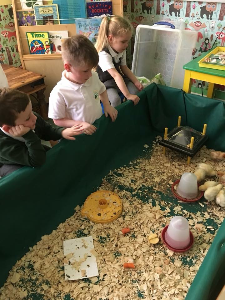 Admissions – St Anne's Church of England Primary School in Rossendale
