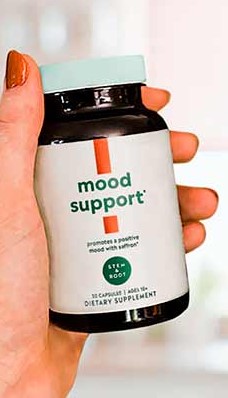 mood support 1