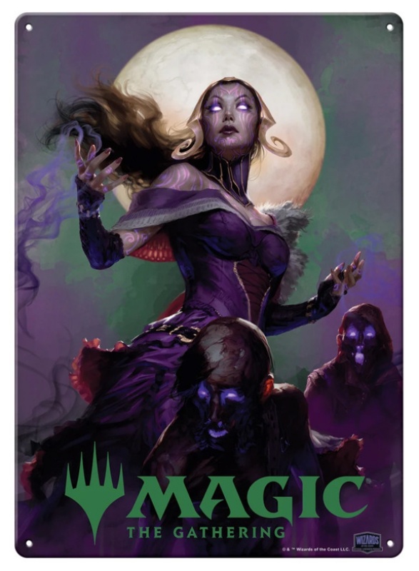 Magic: The Gathering EXPERT LEVEL ポスター Magic the Gathering Game Liliana Image Metal Sign Poster 8.25 x