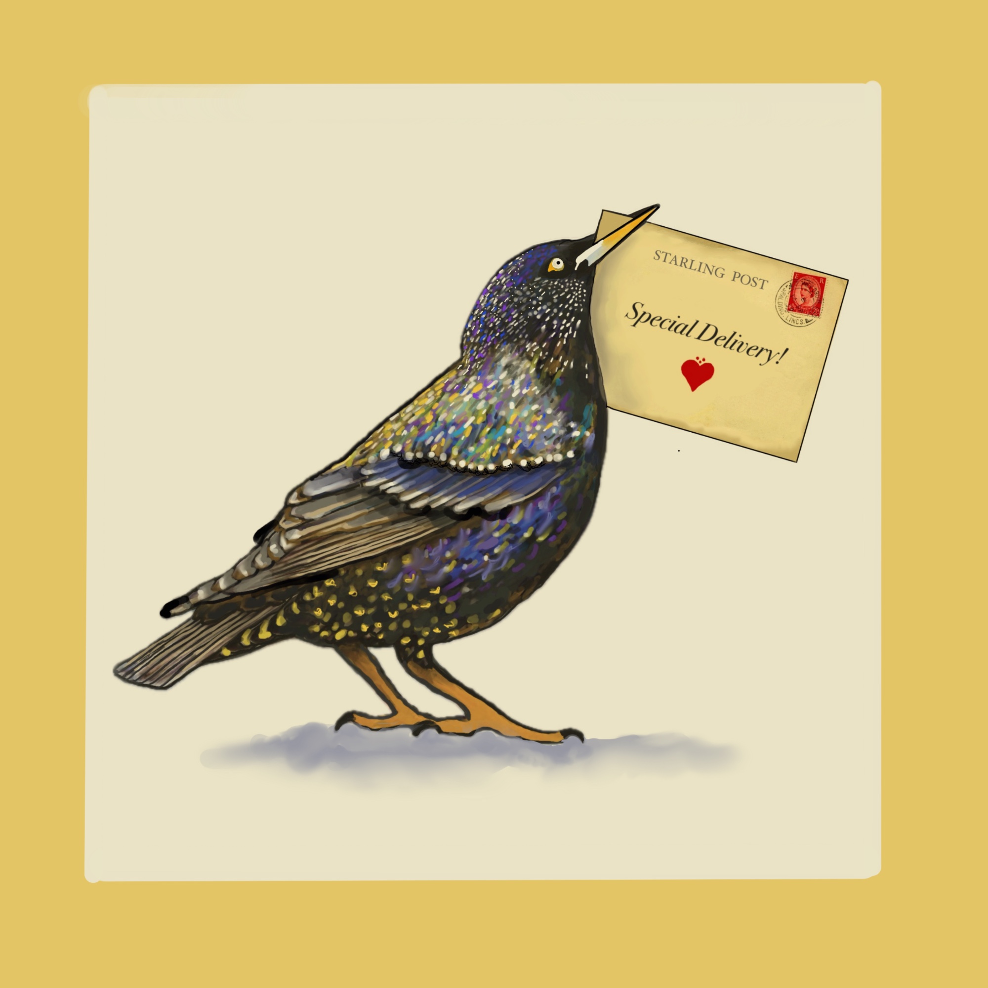Meaningful Mail - Monthly Subscription
