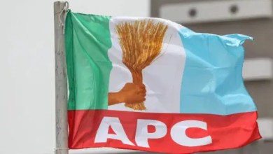 LG Polls: APC sweeps chairmanship, councillorship seats as LASIEC begins results release