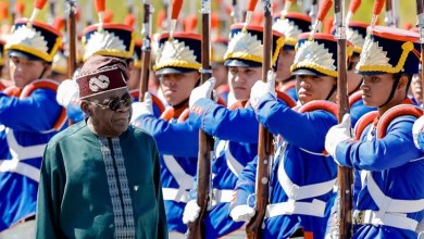 Photos: Brazil welcomes President Tinubu with full military honours