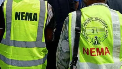 NEMA confirms recovery of three bodies in Sokoto boat mishap
