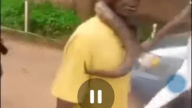 Man beaten for allegedly killing snake in Anambra