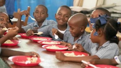FG to feed 50 million primary school pupils in 2026 – NSIPA