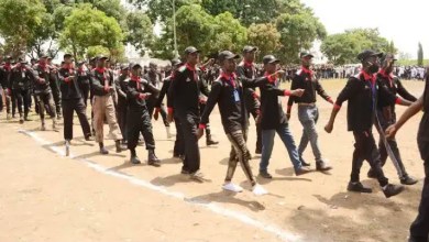 Kano forest security receives 145 crime complaints in August