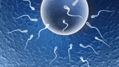 From fertility to menopause: Experts urge Nigerian women to prioritise health checks