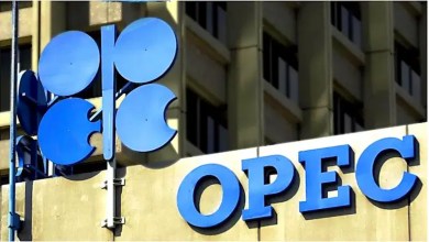 OPEC+ increases oil output by 137,000 bpd