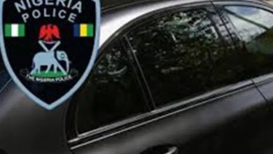 Update: Tinted permit: Court orders Police to maintain status quo