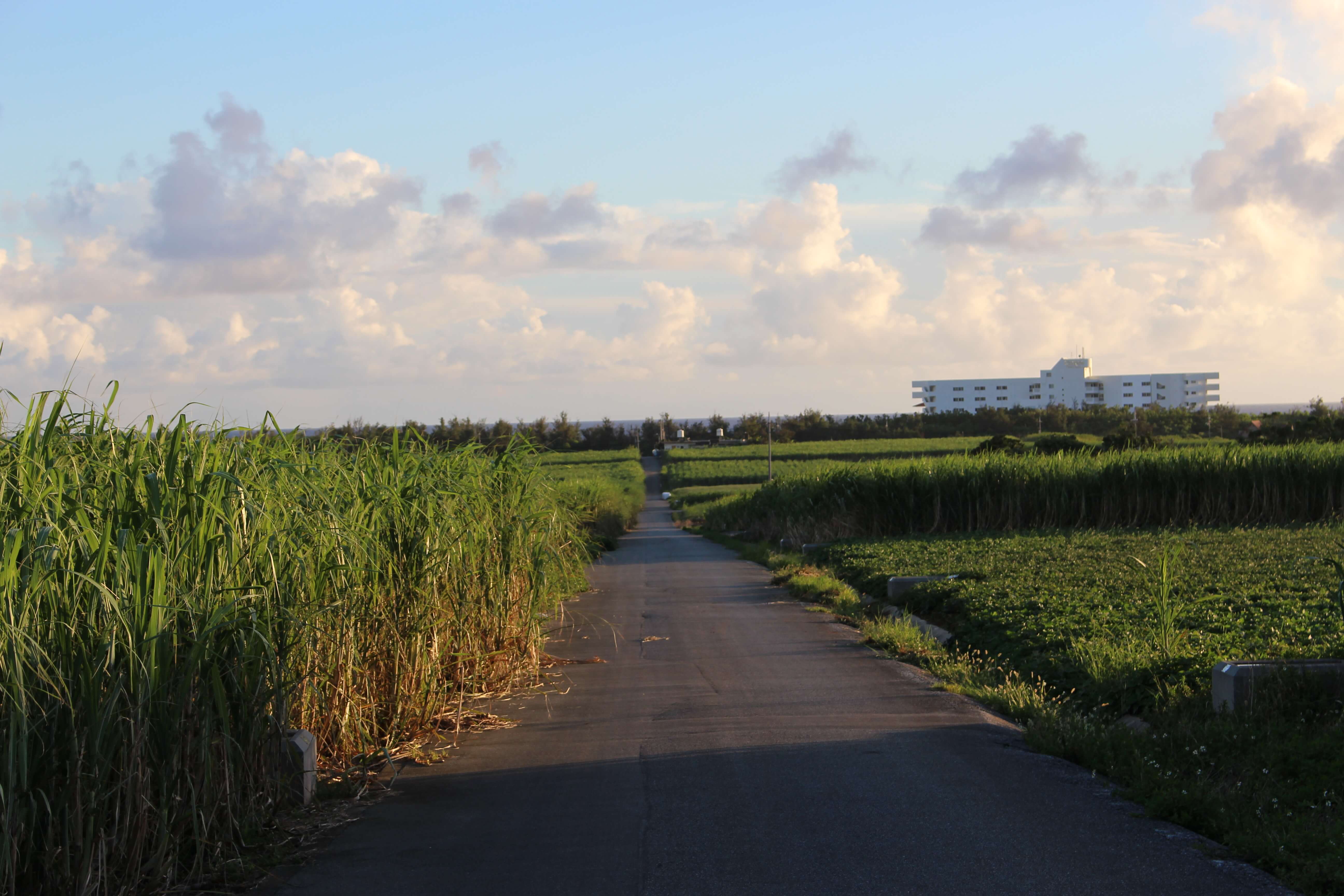 標準レンズとは？その特徴と使い方、使うシチュエーションを解説！ カメラ初心者のための使い方解説書