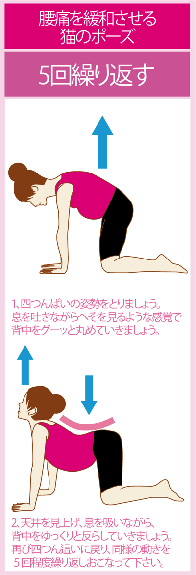 妊婦運動 妊娠中のスポーツはあり なし 妊娠中のスポーツ rbmi