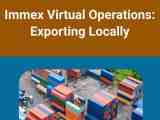 Immex Virtual Operations Exporting Locally Start Ops Mexico