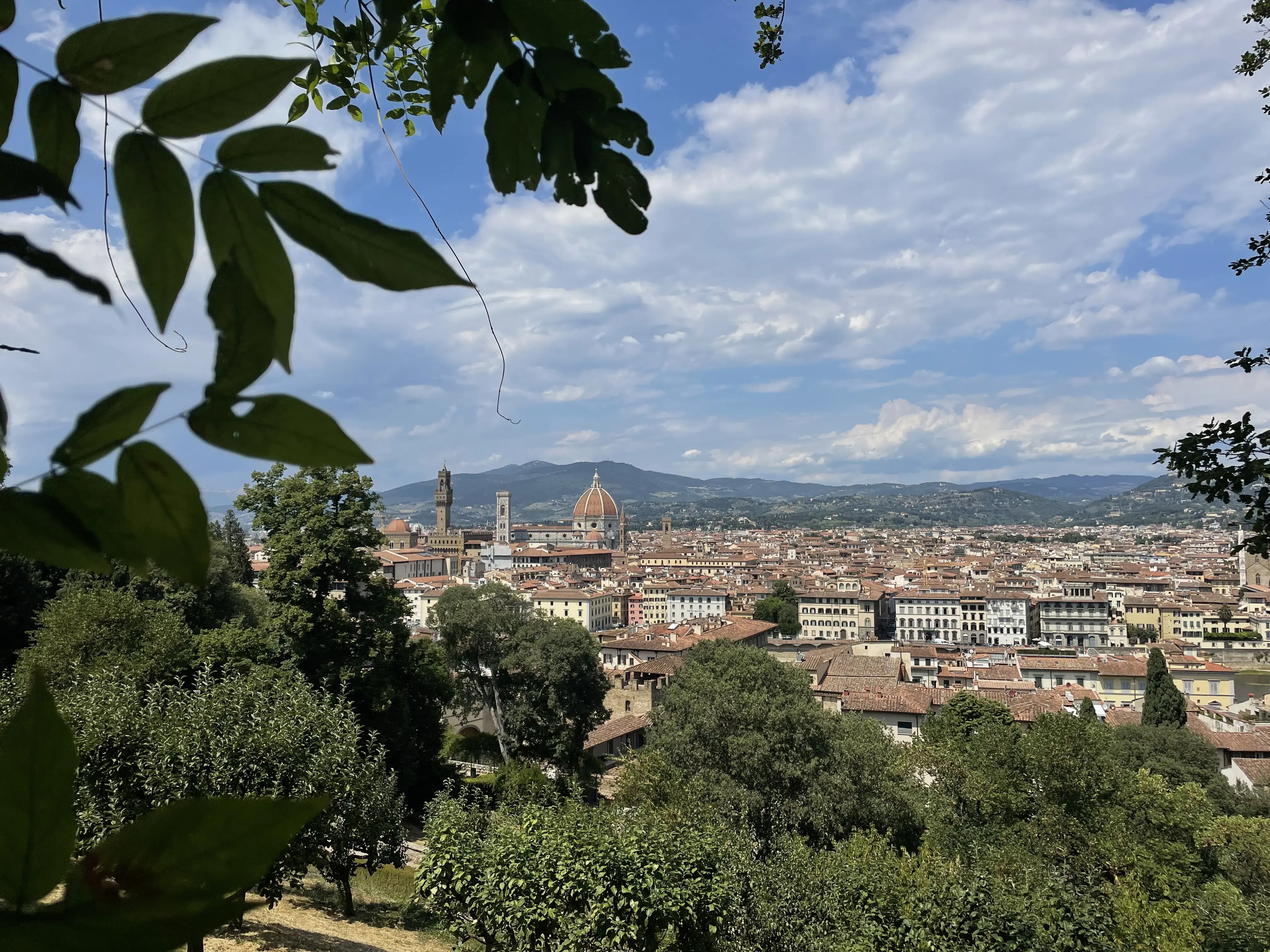 Florence Skyline