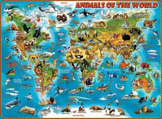 Animali del mondo 300 pz ravensburger