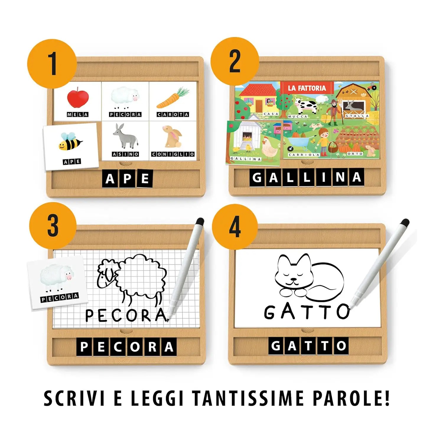 Enciclopedia dei piccoli montessori