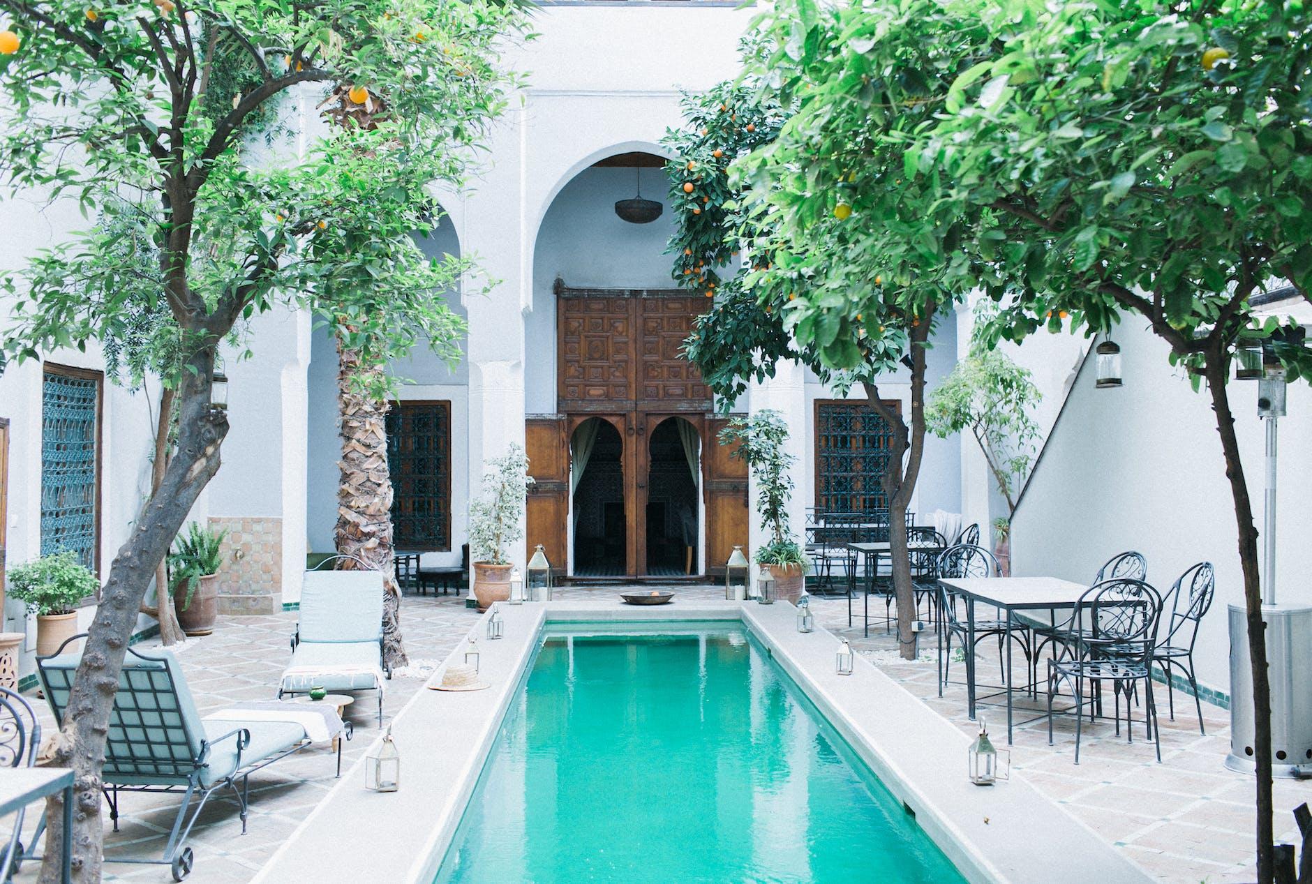 backyard of hotel with pool and trees